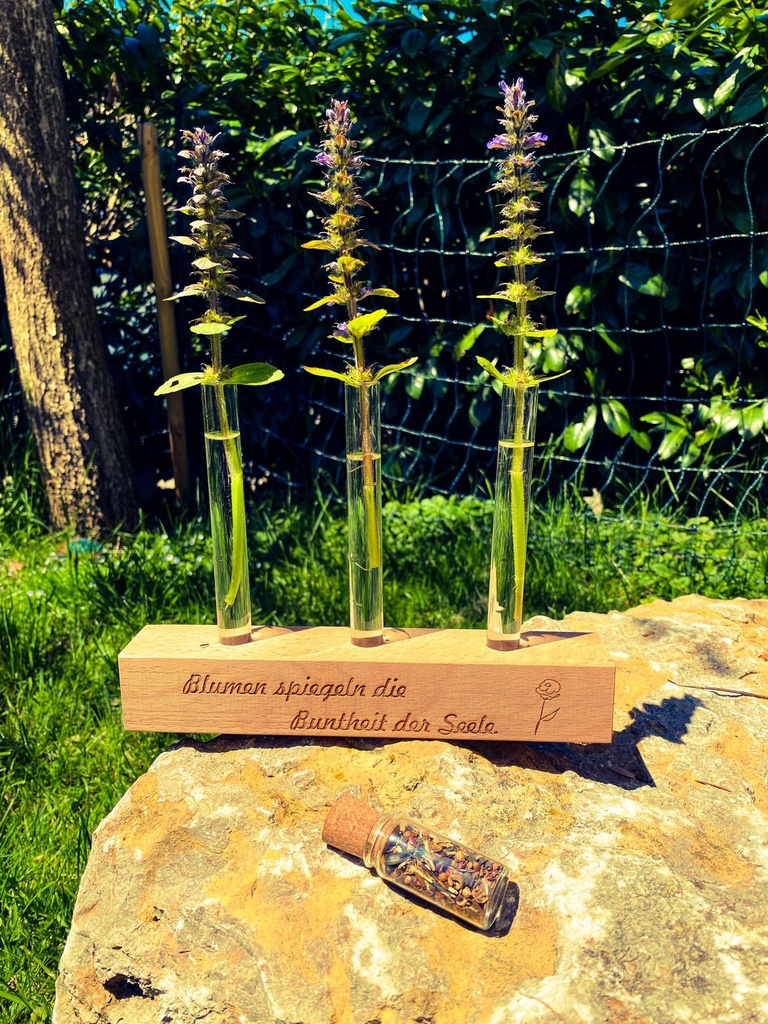 Blumen Reagenz